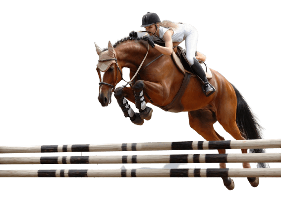 Equestrian rider jumping horse