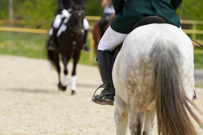 Equestrian rider in arena